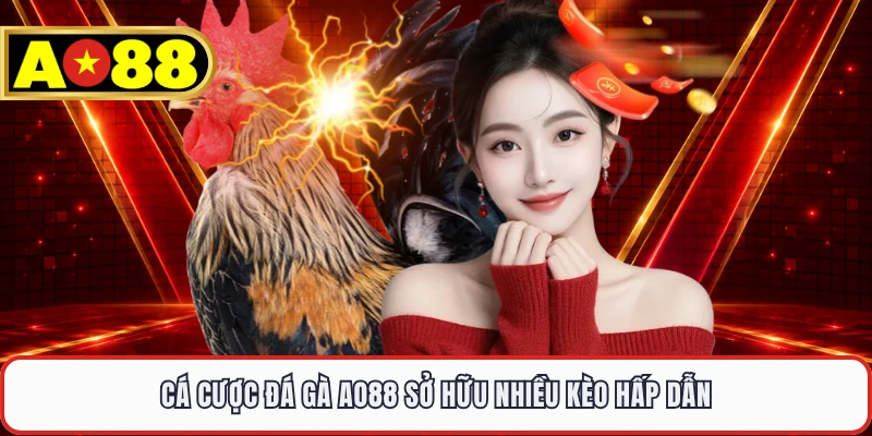 Cá cược đá gà AO88 sở hữu nhiều kèo hấp dẫn