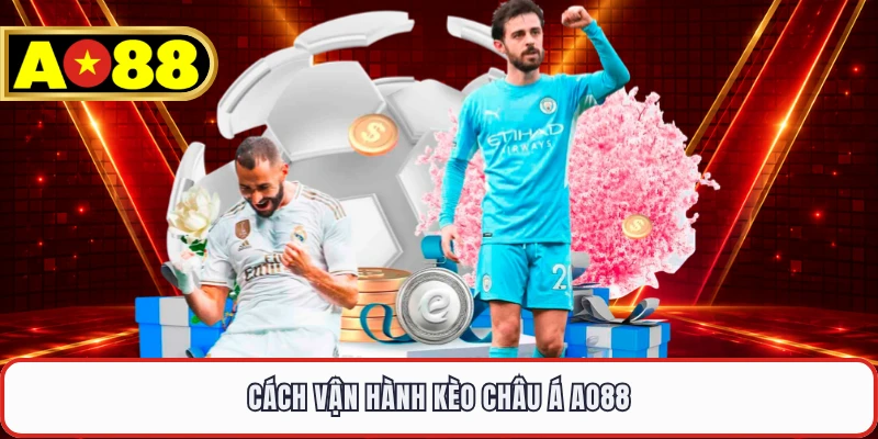Cách vận hành kèo Châu Á AO88