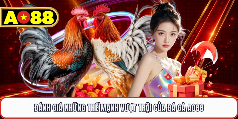 Đánh giá những thế mạnh vượt trội của đá gà AO88