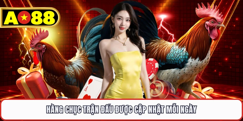 Hàng chục trận đấu được cập nhật mỗi ngày