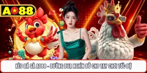 Kèo Đá Gà AO88 - Đường Đua Nghìn Đô Cho Tay Chơi Tốc Độ