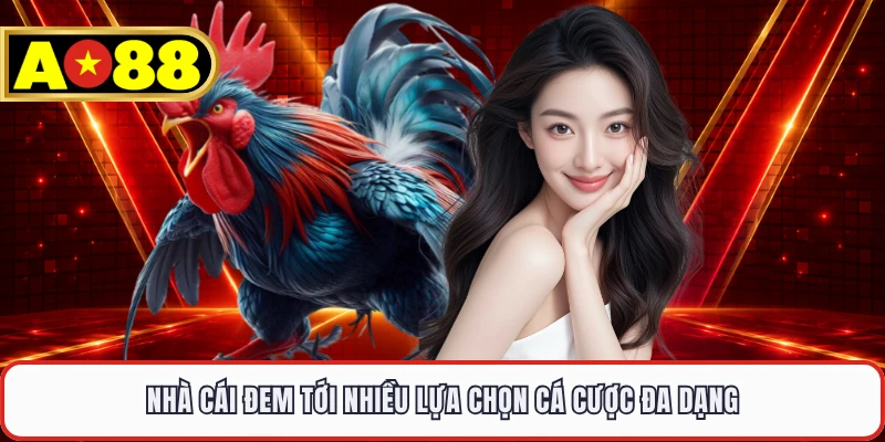 Nhà cái đem tới nhiều lựa chọn cá cược đa dạng